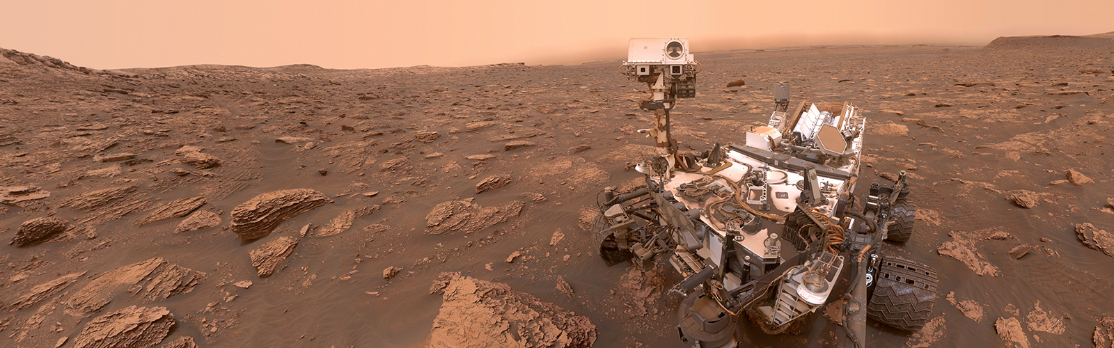 Curiosity selfie